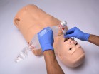 HAL S315.300 Adult Airway  CPR Trainer       - urteks.ru - 