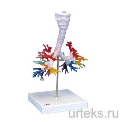 G23      - urteks.ru - 