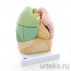 G70     - urteks.ru - 