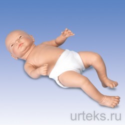       Ready-or-Not Tot, ,   - urteks.ru - 