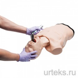        Truman Trauma - urteks.ru - 