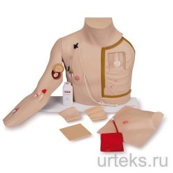    Chester Chest - urteks.ru - 