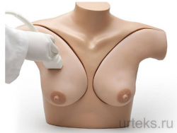       Breast Phantom Simulator - urteks.ru - 