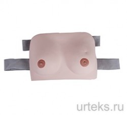 DM-GP6622      - urteks.ru - 